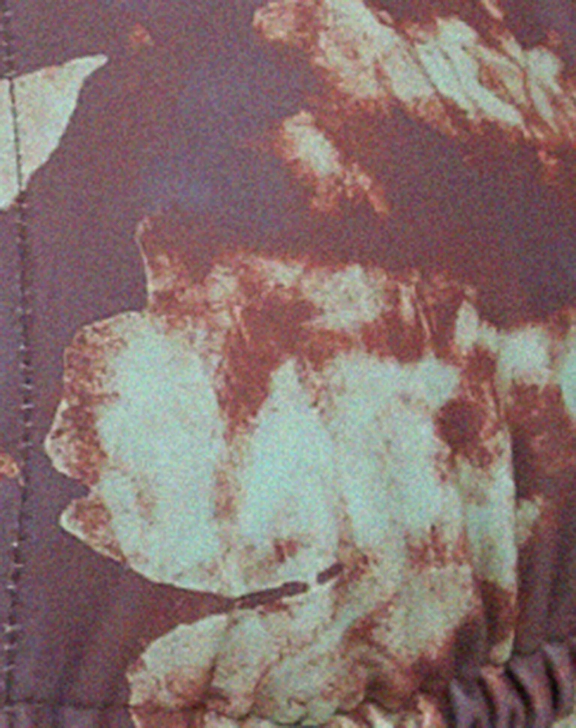 Produktbild 8